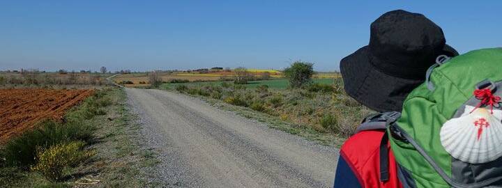camino de santiago viaje organizado