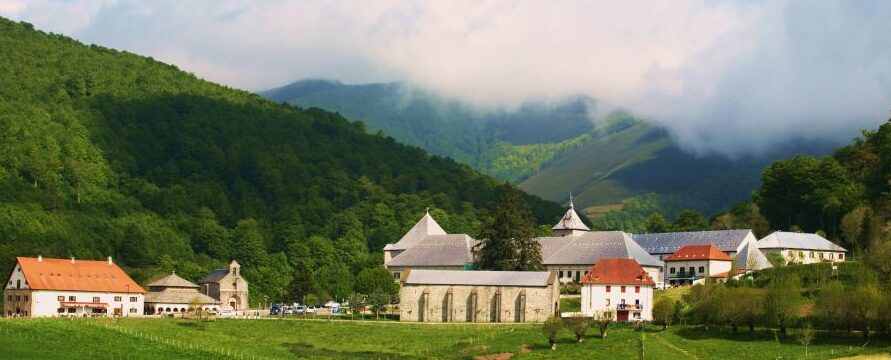 Camino de Santiago: viajes organizados