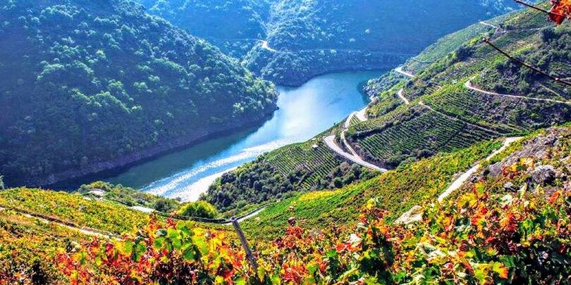 Excursiones organizadas a la Ribeira Sacra desde Monforte de Lemos