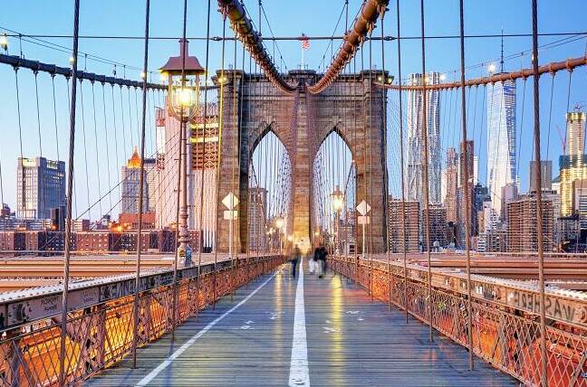 free tour bronx en espanol