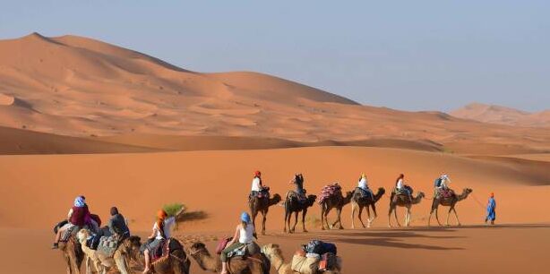 Free Tour Casablanca en español