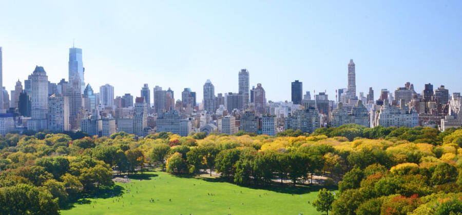 Free Tour Central Park en español
