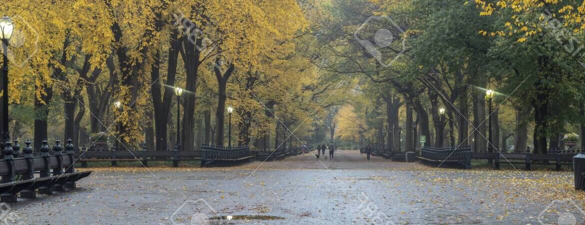 free tour central park