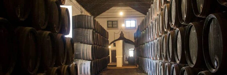 Free tour en Logroño