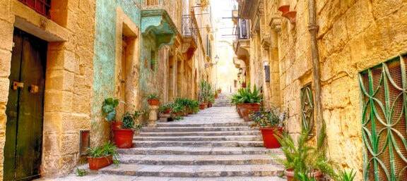 free tour en pamplona