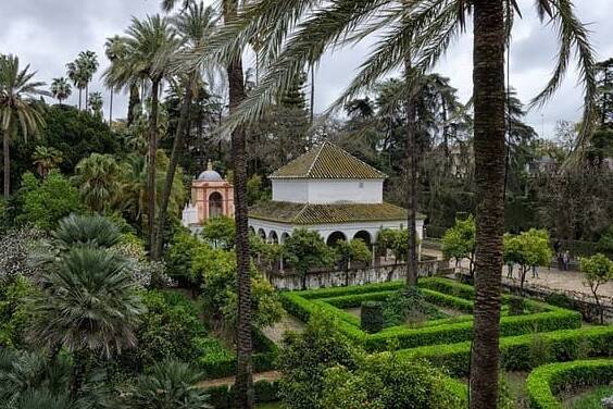 Free tour en Santa Cruz de Tenerife