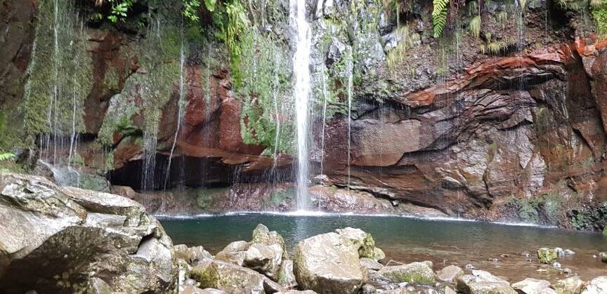 Free Tour Madeira en español