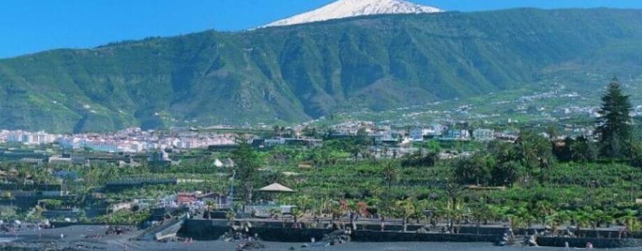Free Tour Puerto de la Cruz