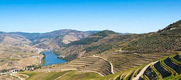 free tour san sebastian sandemans