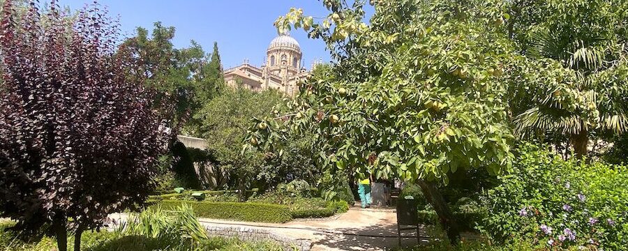 Free Tour Soria Ciudad