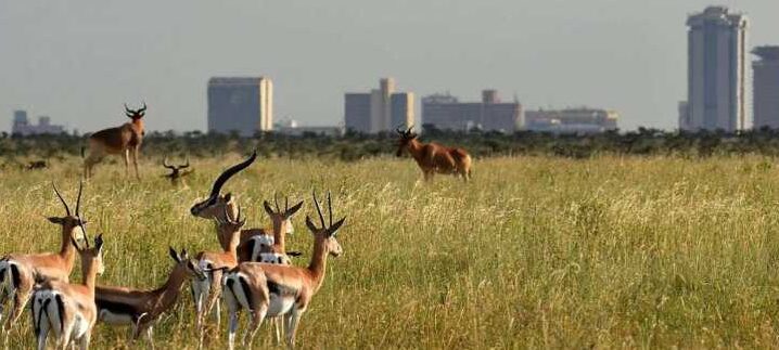 Free tours y visitas guiadas en Kenia