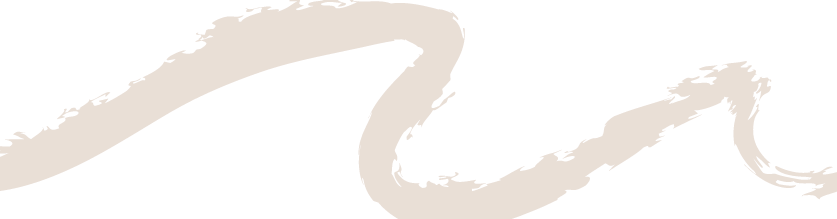 free walking tour verona