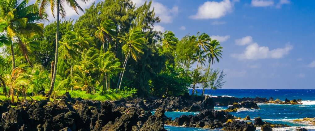 hawaii tours en espanol