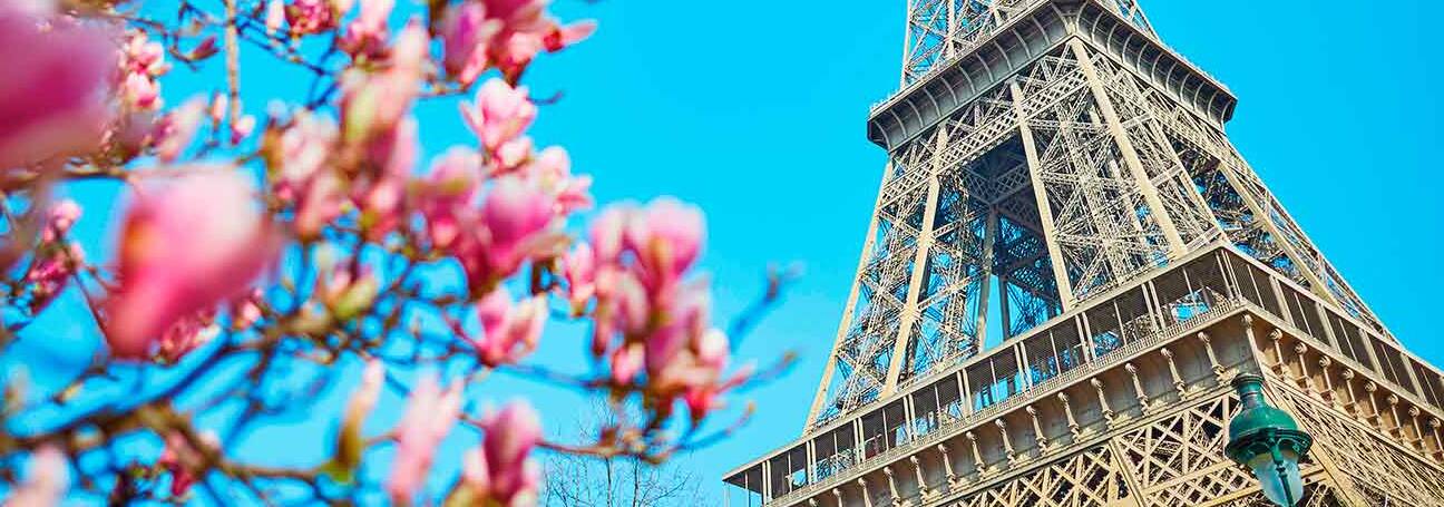 mejor free tour paris