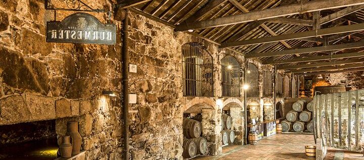 Palacio de la Bolsa Oporto – Visita guiada