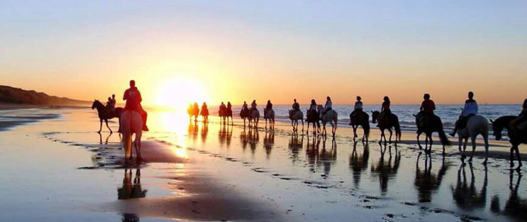 Parque Doñana – Visitas guiadas