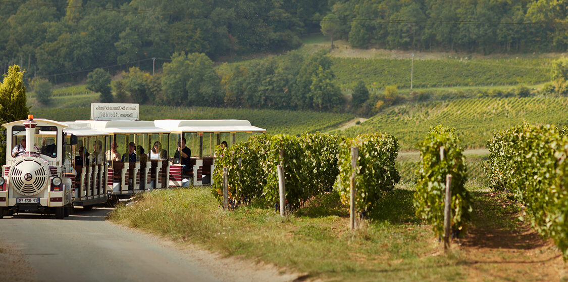 Saint-Emilion Free Tour