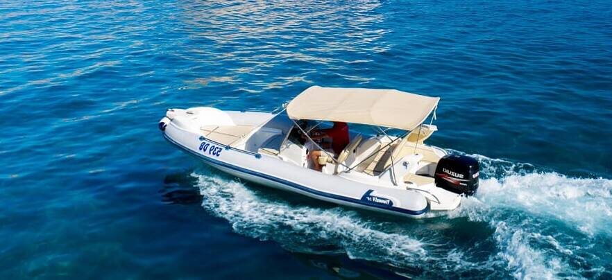 spanish dock marlin boat tours