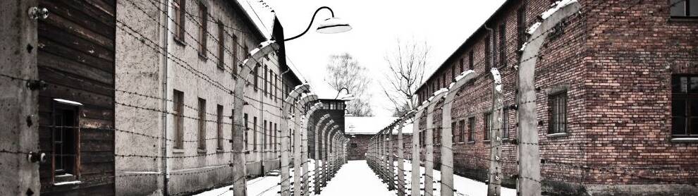 tour de auschwitz en espanol