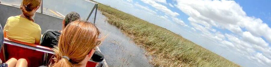 Tour Everglades Miami en español
