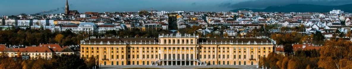 Tour nocturno en Viena en español