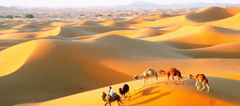 Viaje organizado a Marrakech y al desierto