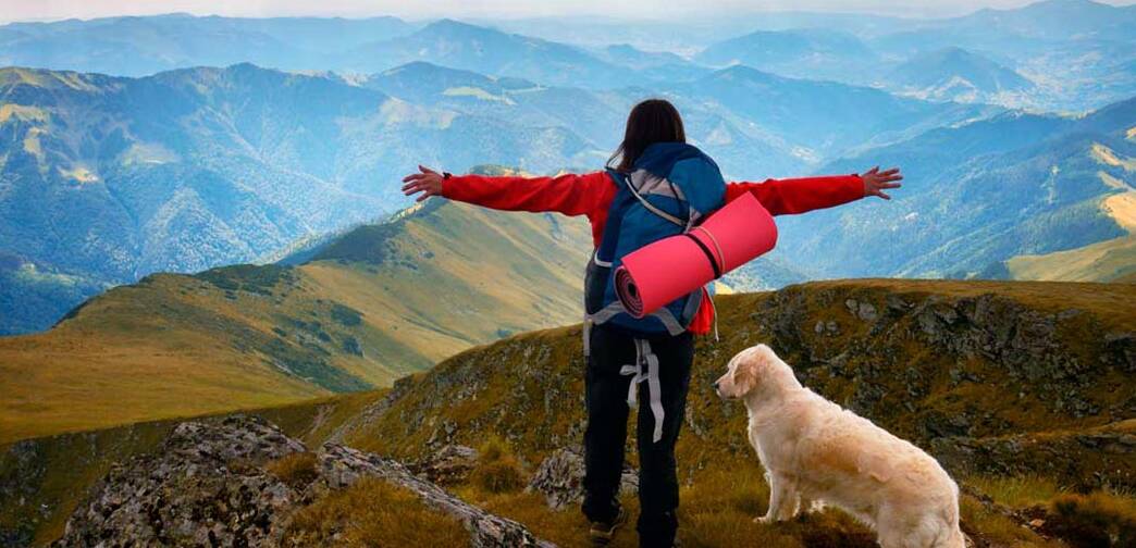 viaje organizado al camino de santiago con perro