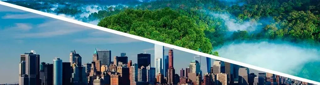 viajes a nueva york organizados