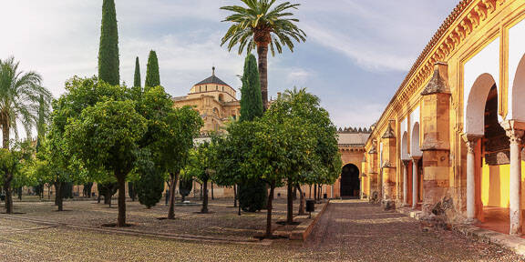 viajes organizados a benidorm desde valladolid