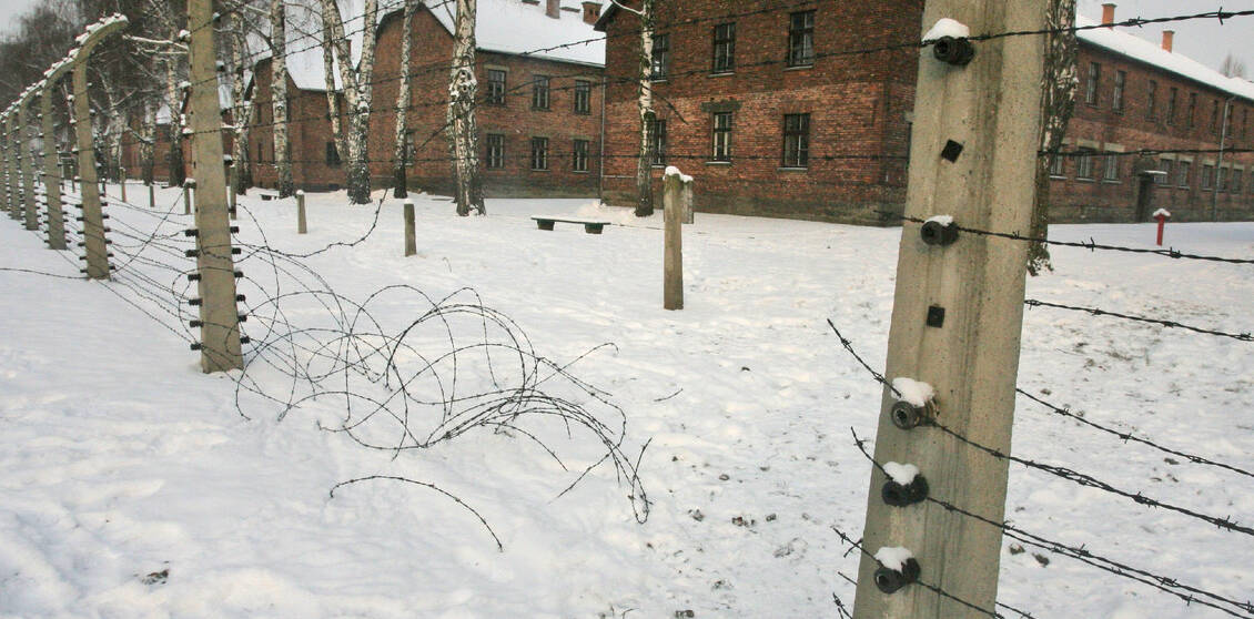 visita guiada a auschwitz