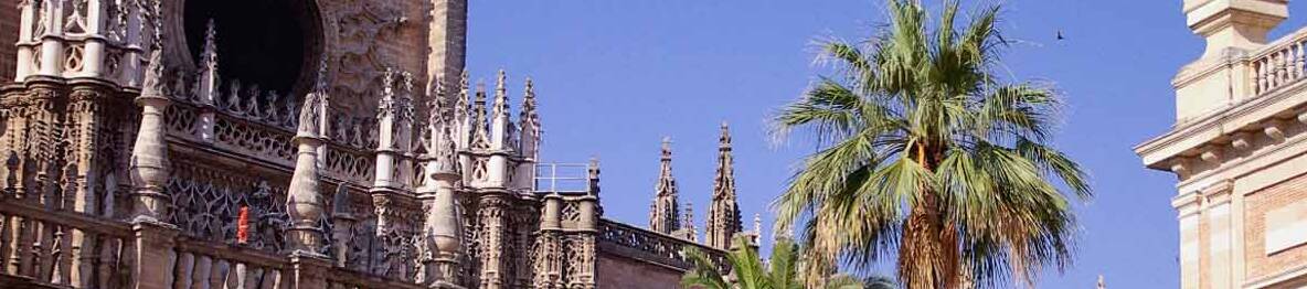 visita guiada a la catedral de sevilla y la giralda