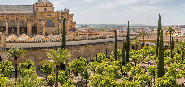 visita guiada a la mezquita de cordoba gratis