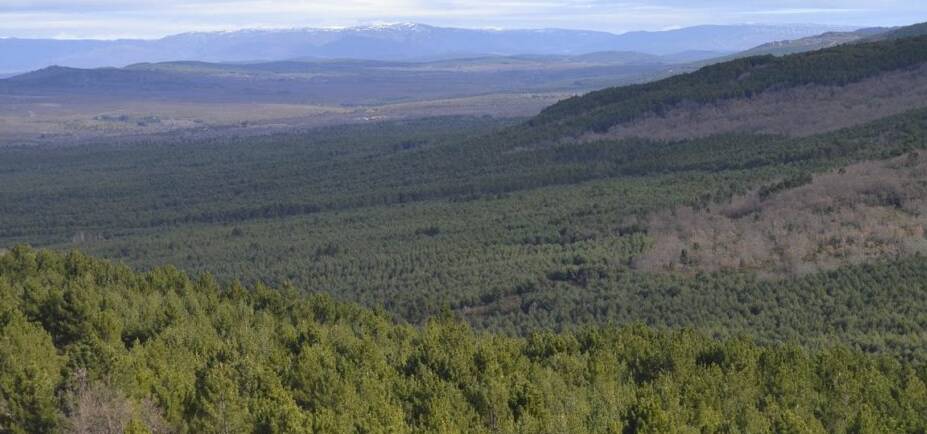 visita guiada a puebla de sanabria