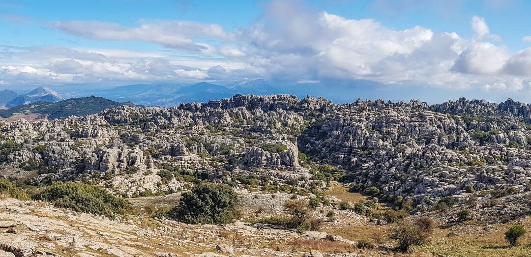 Visita guiada al Pinsapar de Grazalema