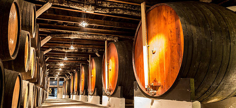 visita guiada por porto