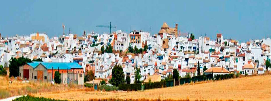 visitas guiadas al pueblo de el rey catolico