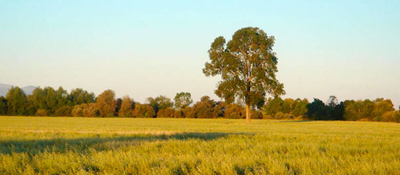 visitas guiadas en ciudad rodrigo