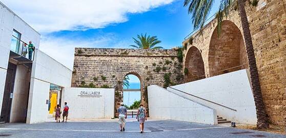 visitas guiadas en mallorca
