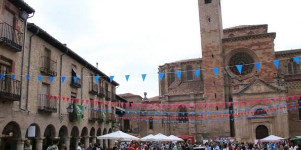 visitas guiadas en siguenza