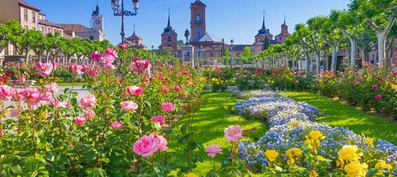 Visitas guiadas gratuitas en Alcalá de Henares