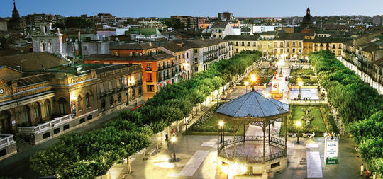 Visitas guiadas por Alcalá de Henares