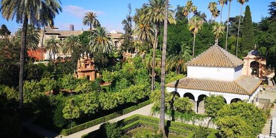 Visitas guiadas por Sevilla